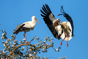 2016 05 05_1838_bearbeitet-2.jpg