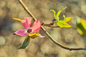 IMG09666.jpg IMG09666.jpg