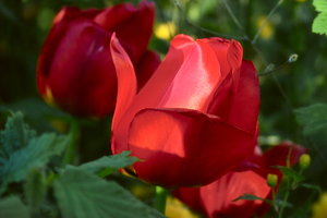 IMG09669.jpg IMG09669.jpg