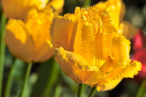 IMG09670.jpg IMG09670.jpg