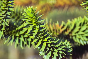 IMG09676.jpg IMG09676.jpg