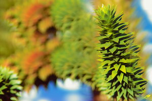 IMG09677.jpg IMG09677.jpg