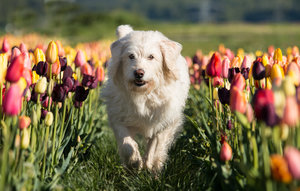 2016 05 05_1900_bearbeitet-2.jpg 2016 05 05_1900_bearbeitet-2.jpg