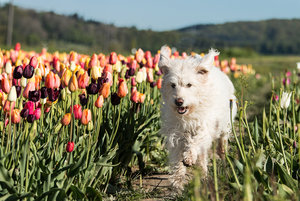 2016 05 05_1914_bearbeitet-2.jpg 2016 05 05_1914_bearbeitet-2.jpg