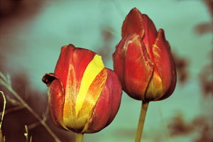 IMG09663.jpg IMG09663.jpg