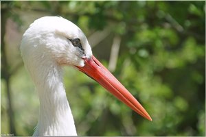 Bild - 2.jpg Bild - 2.jpg