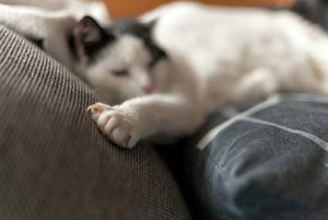 comp_IMG_7480.jpg comp_IMG_7480.jpg