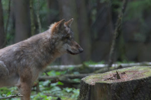 DM9A8511.jpg DM9A8511.jpg