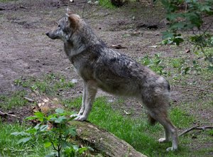 DM9A8580.jpg DM9A8580.jpg