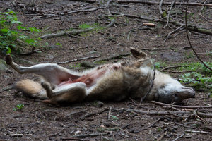 DM9A8632.jpg DM9A8632.jpg