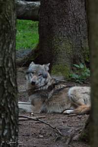 DM9A8687.jpg DM9A8687.jpg