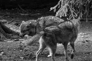 DM9A8745.jpg DM9A8745.jpg