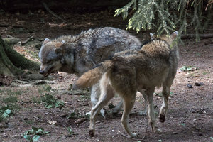 DM9A8746.jpg DM9A8746.jpg