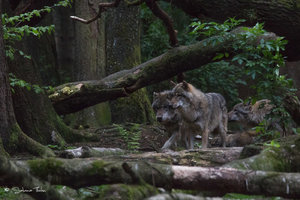 DM9A9061.jpg DM9A9061.jpg