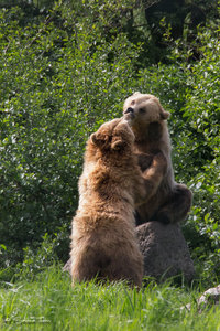 DM9A8905.jpg DM9A8905.jpg