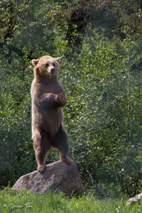 DM9A8919.jpg DM9A8919.jpg