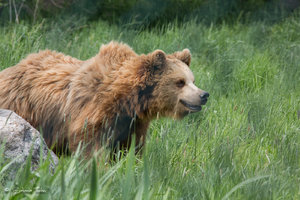 DM9A8942.jpg DM9A8942.jpg