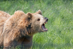 DM9A8955.jpg DM9A8955.jpg