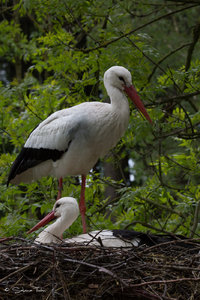 DM9A8767.jpg DM9A8767.jpg