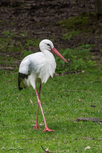 DM9A8998.jpg DM9A8998.jpg