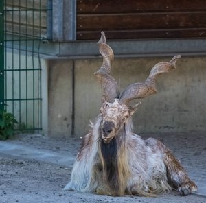 comp_Tierpark 10.05.2016-1727.jpg