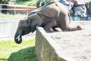 comp_Tierpark 10.05.2016-1678.jpg