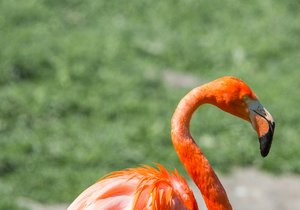 comp_Tierpark 10.05.2016-1879.jpg