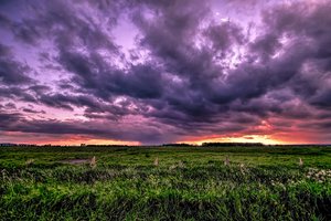 _MG_9796-Bearbeitet.jpg _MG_9796-Bearbeitet.jpg