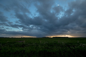 _MG_9796.jpg _MG_9796.jpg