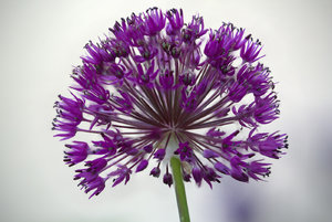 2016-05-21 17-00-54 (B,Radius50,Smoothing4).jpg 2016-05-21 17-00-54 (B,Radius50,Smoothing4).jpg