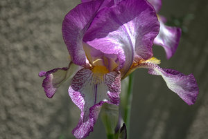 2016-05-21 17-05-21 (B,Radius50,Smoothing4).jpg 2016-05-21 17-05-21 (B,Radius50,Smoothing4).jpg