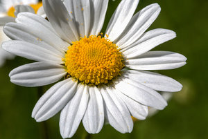 2016-05-21 17-56-57 (B,Radius50,Smoothing4).jpg 2016-05-21 17-56-57 (B,Radius50,Smoothing4).jpg