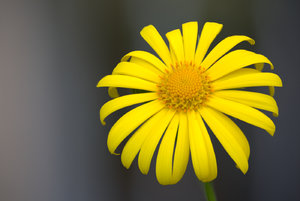 2016-05-21 18-08-13 (B,Radius50,Smoothing4).jpg 2016-05-21 18-08-13 (B,Radius50,Smoothing4).jpg