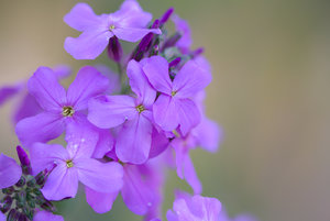 2016-05-21 18-09-29 (B,Radius50,Smoothing4).jpg 2016-05-21 18-09-29 (B,Radius50,Smoothing4).jpg