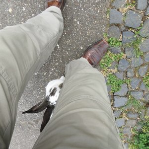 comp_klIMG_9088.jpg comp_klIMG_9088.jpg