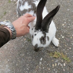 comp_klIMG_9089.jpg comp_klIMG_9089.jpg