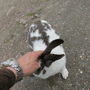 comp_klIMG_9090.jpg comp_klIMG_9090.jpg