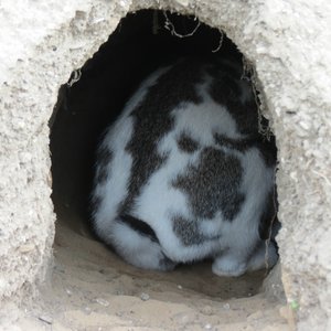 comp_klIMG_9087.jpg comp_klIMG_9087.jpg