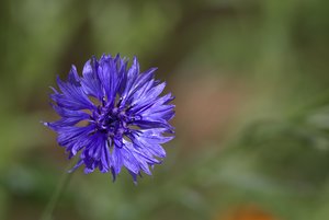 Bild-5.jpg Bild-5.jpg