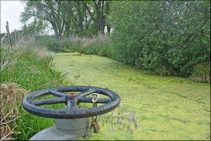 008 Das Alte Land.jpg