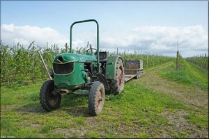 032 Das Alte Land.jpg