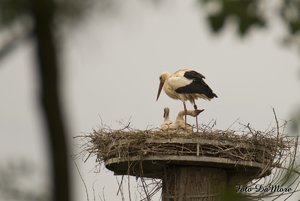 Small_DSC_015473.jpg Small_DSC_015473.jpg