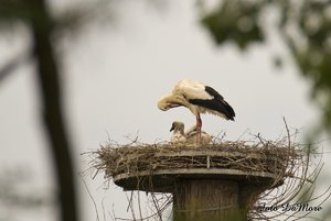 Small_DSC_015477.jpg Small_DSC_015477.jpg