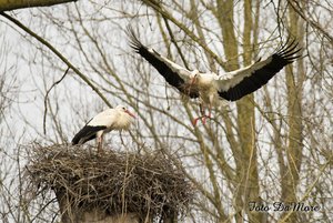 Small_DSC_14920.jpg Small_DSC_14920.jpg