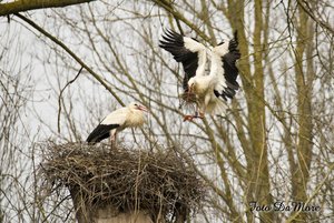 Small_DSC_14921.jpg Small_DSC_14921.jpg