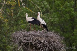 Small_DSC_015526.jpg Small_DSC_015526.jpg