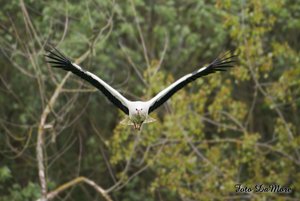 Small_DSC_015530.jpg Small_DSC_015530.jpg