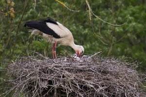 Small_DSC_015551.jpg Small_DSC_015551.jpg