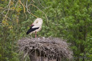 Small_DSC_015567.jpg Small_DSC_015567.jpg