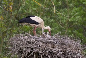 Small_DSC_015580.jpg Small_DSC_015580.jpg